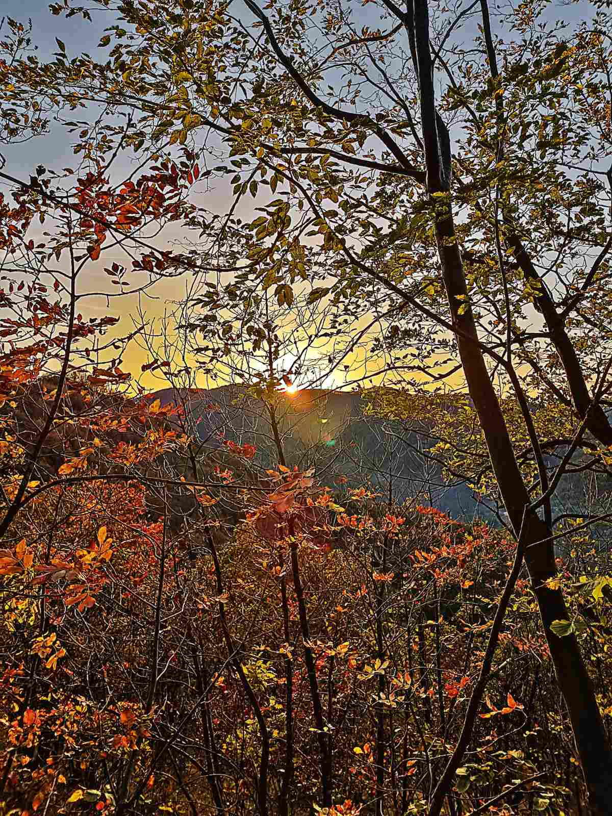 placeholder image-sq