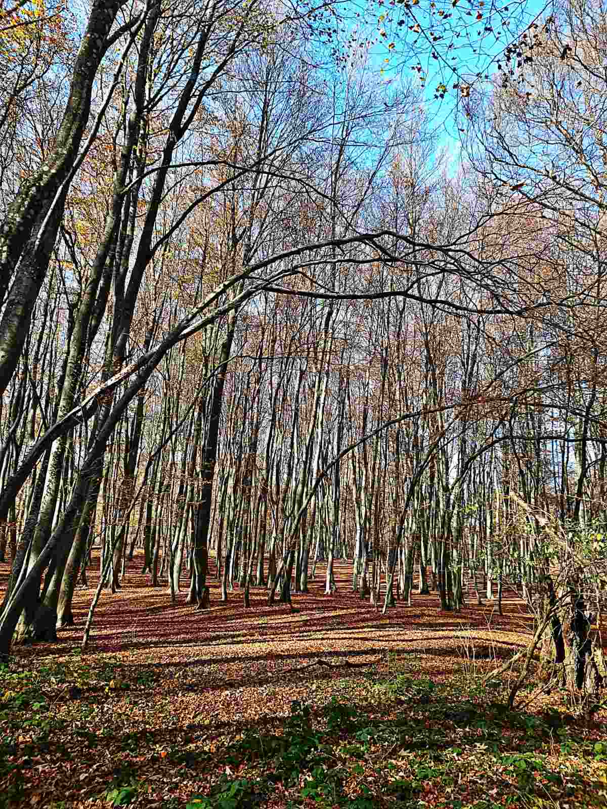 placeholder image-sq